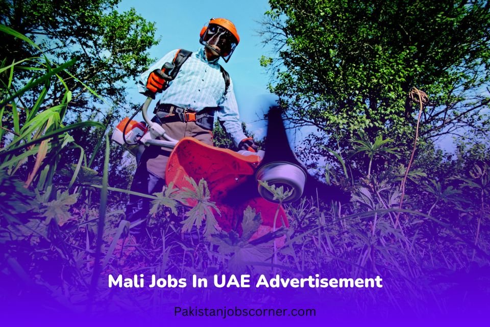 Mali-Jobs-In-UAE